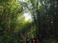 -田野绿世界