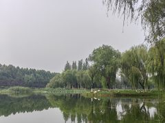 -西安浐灞国家湿地公园
