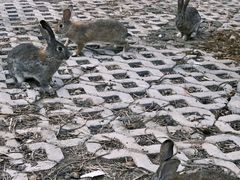 -龙湾潭国家森林公园