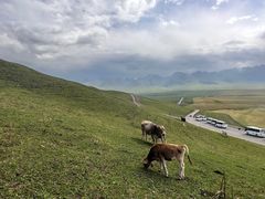 -新疆那拉提国家旅游度假区