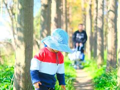 -前小桔亲子创意农场·草莓采摘·露营烧烤