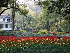 -杭州花家山庄