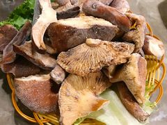 -易门野生菌府·菌海森林(月牙潭公园店)