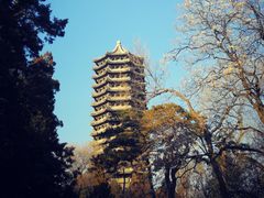 -北京大学赛克勒考古与艺术博物馆