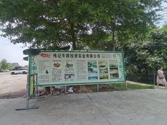 -伟记牛蹄(道滘店)