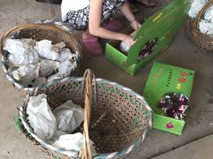 -马陆小张葡萄园农家乐