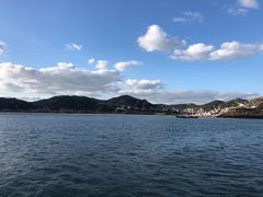 -枸杞岛