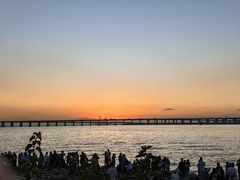 -宝安西湾红树林湿地公园