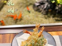 -森味薪火烧•烧鸟居酒屋•日本料理(望京店)