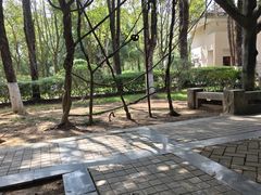 -大屏嶂森林公园