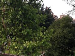 -沐仙湖湿地公园
