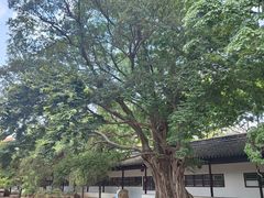 -苏州文庙(姑苏区)