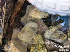 -北仑森林植物园
