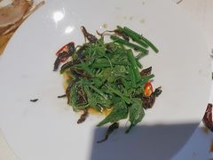 -旺顺阁·北京菜(北辰上品+)