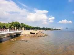 -深圳湾公园(南山区)