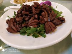 -九花山烤鸭店