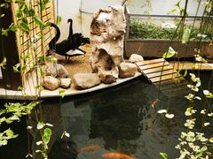 -湖鲜楼