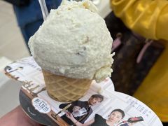 -野人先生现做冰淇淋(西安赛格店)