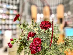 -思南书局·诗歌店