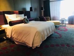 -南京禄口机场雅高铂尔曼大酒店