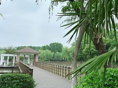 -东湖景区