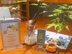 -十二舍·湯物素煮(江泰潤政店)