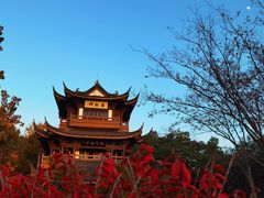 -范蠡湖公园