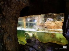 -长鹿旅游休博园