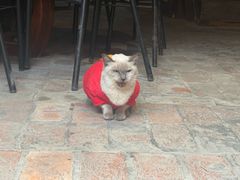 -61号餐吧(兴坪古镇漓江店)