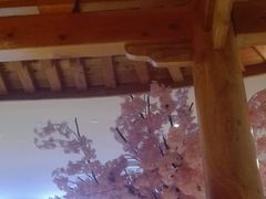 -巴斯漫温泉汗蒸馆(贡湖大道店)