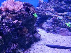 -成都浩海立方海洋公园