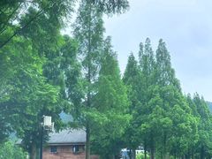 -东钱湖旅游度假区