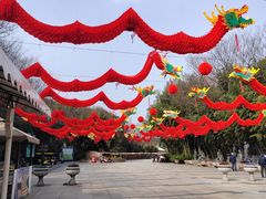 -东方绿舟景区