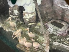 -杭州长乔极地海洋公园