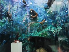 -国家自然博物馆