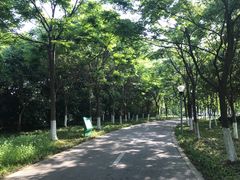 -尚贤河湿地