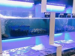 水产区-老虎滩大连海鲜烧烤(建邺云锦路总店)