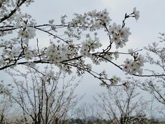 -良渚古城遗址公园