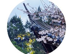 -龙华寺