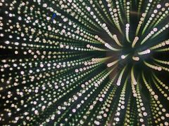 -桔子酒店(天津五大道店)