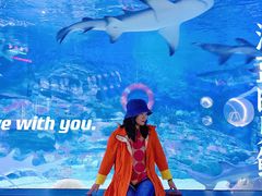 -烟台海昌鲸鲨海洋公园