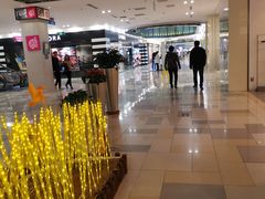 -鹏欣水游城