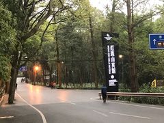 -峨眉山报国寺