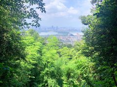 -紫金山天文台