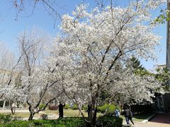 -大连理工大学(凌水校区)