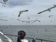 -海驴岛(荣成市)