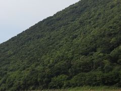 -南京老山国家森林公园