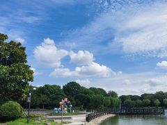 -上海鲜花港