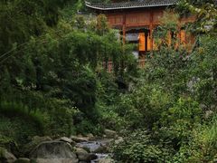 -紫鹊界梯田景区