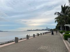 -深圳湾公园(南山区)